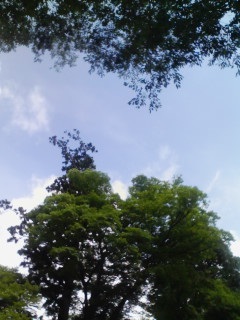 walking@proud