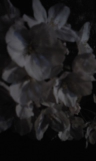 ܂̂Ⴍ