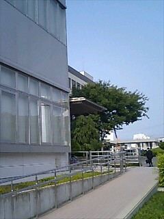 ̉\Q